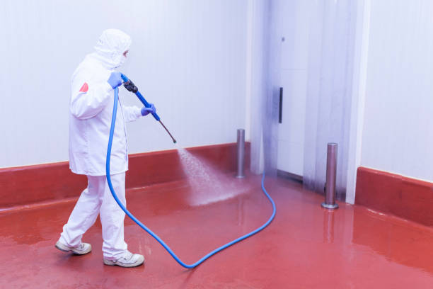 Best Paint Preparation  in Seaford, NY