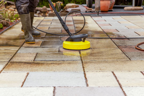 Best Animal Enclosure Cleaning  in Seaford, NY